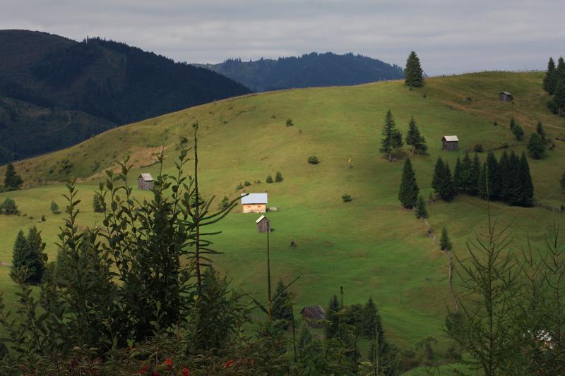 477-Passo Prislop,11 agosto 2011.JPG